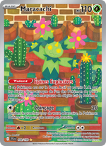 Maracachi - Maractus - Aventures Ensemble 160