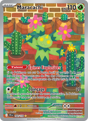 Maracachi - Maractus - Aventures Ensemble 160