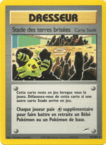 Stade des terres brisées 92/113 Pokémon Neo Destiny (N4)