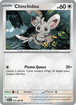 Chinchidou 075/172 Pokémon Foudre Noire (BLK)