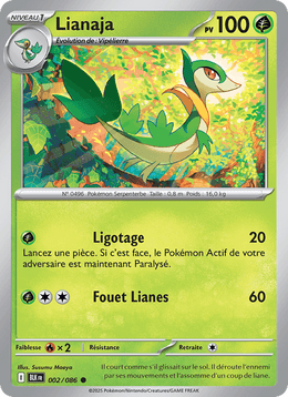 Lianaja 002/172 Pokémon Foudre Noire (BLK)