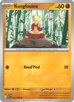 Kungfouine 052/173 Pokémon Flamme Blanche (WHT)