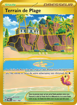 Terrain de Plage - Beach Court - Faille Paradoxe 263