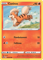 Caninos 019/215 Pokémon Tempête Argentée (SIT)