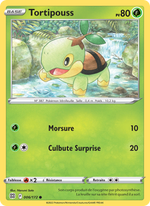 Tortipouss 006/216 Pokémon Stars Étincelantes