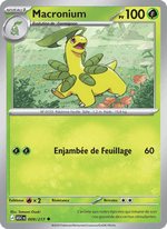 Macronium 009/295 Pokémon Héros Transcendants (ME2.5)