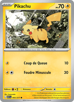 Pikachu 055/295 Pokémon Héros Transcendants (ME2.5)