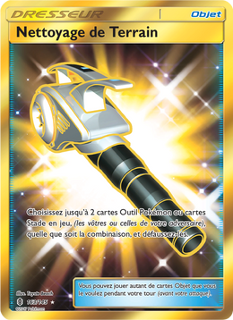 Nettoyage de Terrain 163/169 — Pokémon Gardiens Ascendants (GRI)