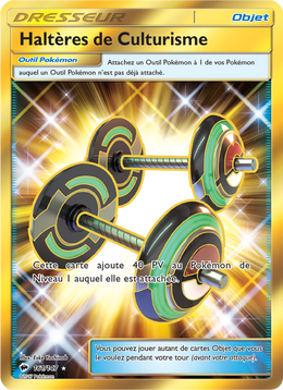 Haltères de Culturisme 161/169 — Pokémon Ombres Ardentes (BUS)