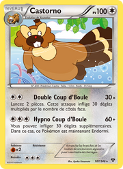 Castorno 107/146 — Pokémon XY (XY)