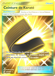 Ceinture de Karaté 252/258 — Pokémon Harmonie des Esprits (UNM)