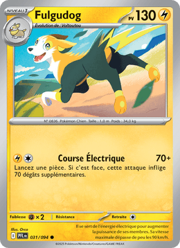 Fulgudog 031/130 Pokémon Flammes Fantasmagoriques (ME02)