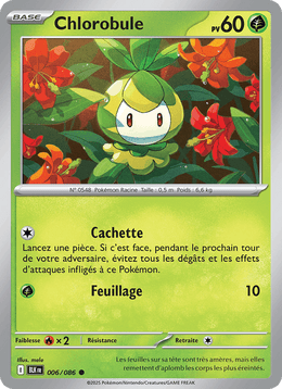 Chlorobule 006/172 Pokémon Foudre Noire (BLK)