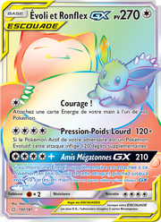 Évoli et Ronflex GX 191/196 — Pokémon Duo de Choc (TEU)